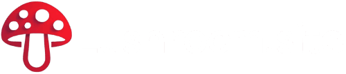 Footer Logo